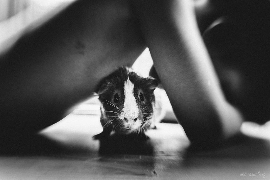 I Document The Special Bond Between My Son And His Pets I Document The Special Bond Between My Son And His Pets