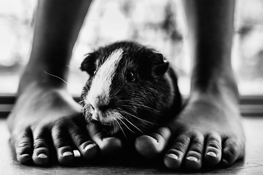 I Document The Special Bond Between My Son And His Pets I Document The Special Bond Between My Son And His Pets