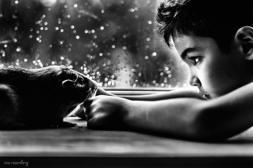 I Document The Special Bond Between My Son And His Pets I Document The Special Bond Between My Son And His Pets