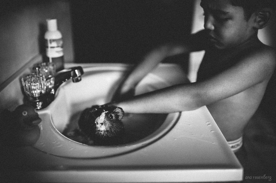 I Document The Special Bond Between My Son And His Pets I Document The Special Bond Between My Son And His Pets