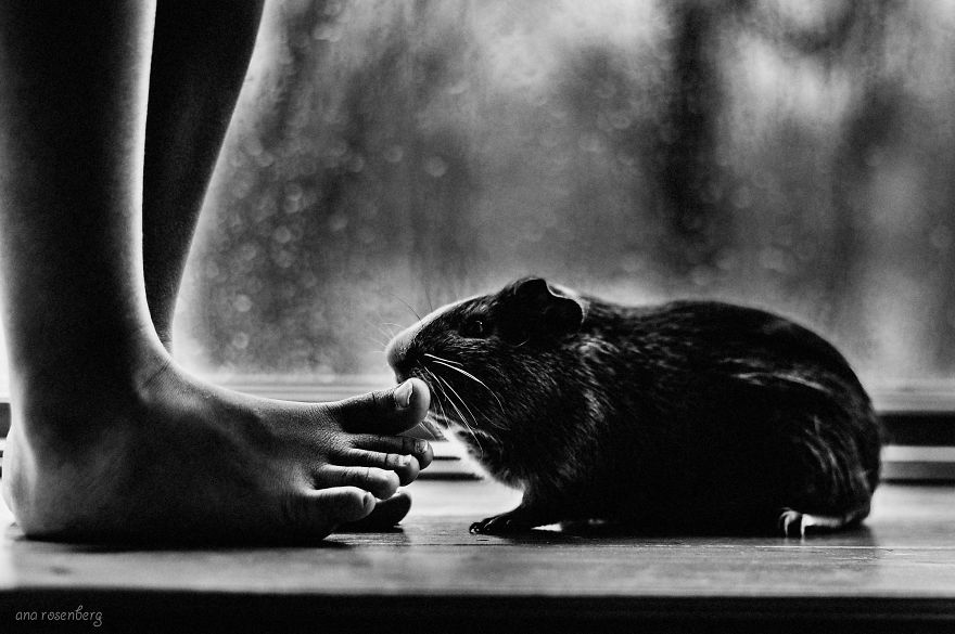 I Document The Special Bond Between My Son And His Pets I Document The Special Bond Between My Son And His Pets