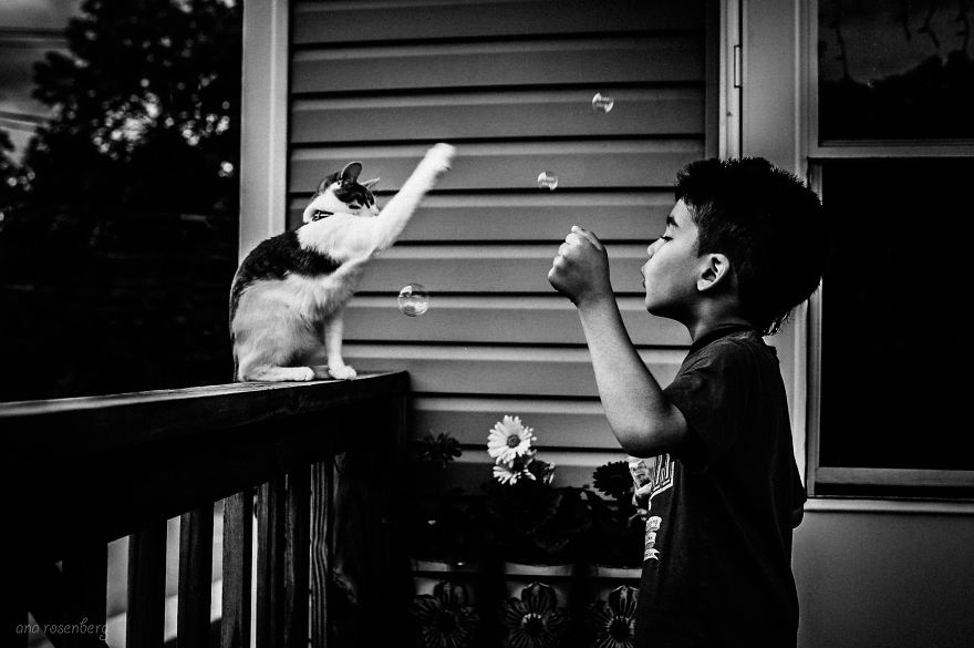 I Document The Special Bond Between My Son And His Pets I Document The Special Bond Between My Son And His Pets