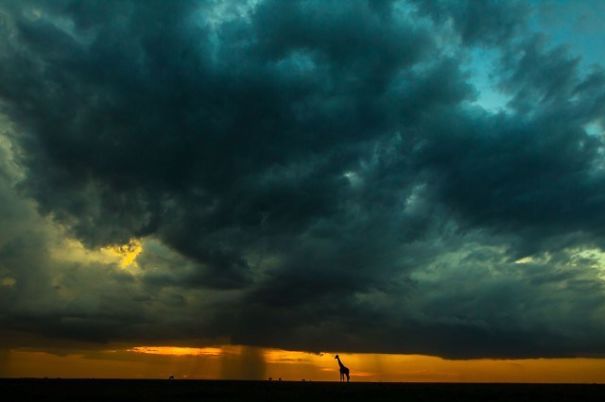 Breathtaking Sunsets On The Masai Mara