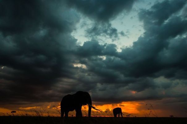 Breathtaking Sunsets On The Masai Mara