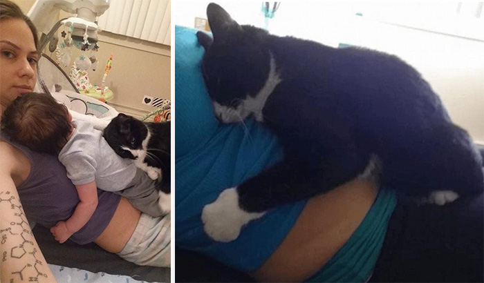This Cat Has Been Guarding Her Little Human Since Before He Was Born
