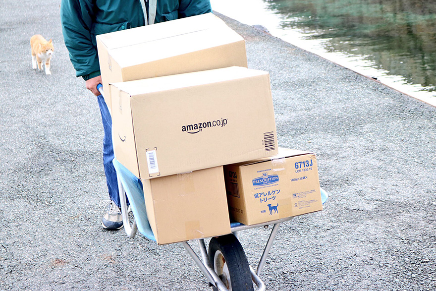 cat-island-japan-tweet-food-donation-aoshima-11 cat-island-japan-tweet-food-donation-aoshima-11