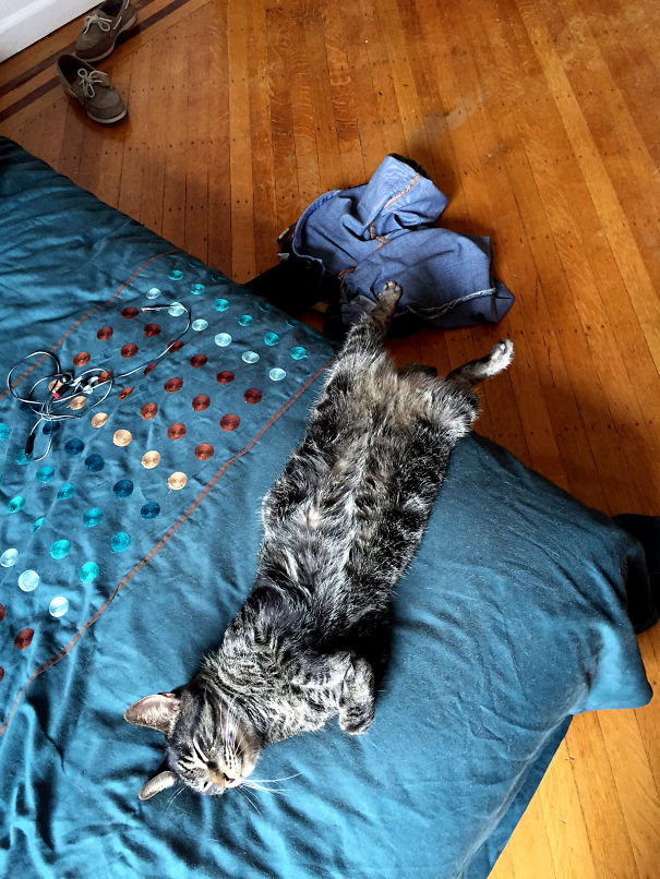 Take Off Your Pants And Pass Out On The Bed.