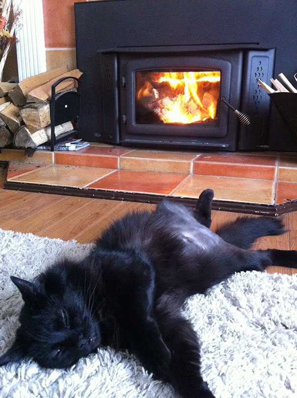 My Cat Basking In The Warmth Of The Fireplace