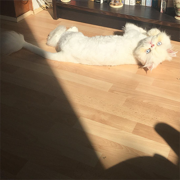 Pretending I'm At The Beach