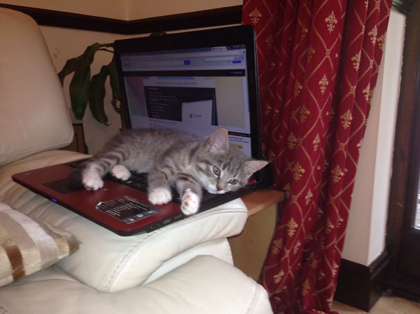 Lunar Keeping Toastie