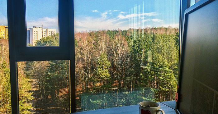 Hey Pandas, Share The View From Your Office