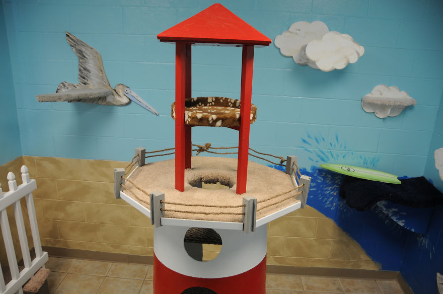 I Created A Harbour-Themed Cat Room For Shelter Cats To Brighten Their Days I Created A Harbour-Themed Cat Room For Shelter Cats To Brighten Their Days