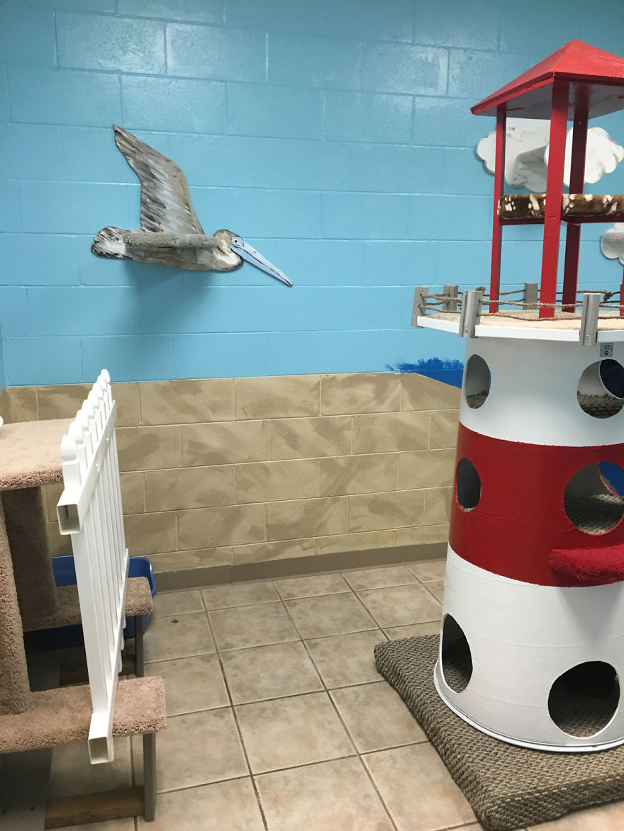 I Created A Harbour-Themed Cat Room For Shelter Cats To Brighten Their Days I Created A Harbour-Themed Cat Room For Shelter Cats To Brighten Their Days