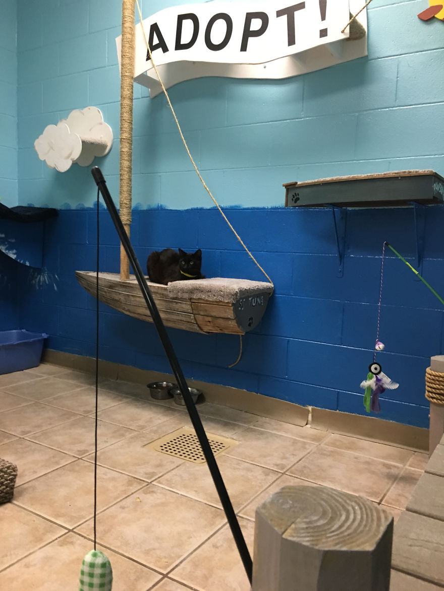 I Created A Harbour-Themed Cat Room For Shelter Cats To Brighten Their Days I Created A Harbour-Themed Cat Room For Shelter Cats To Brighten Their Days