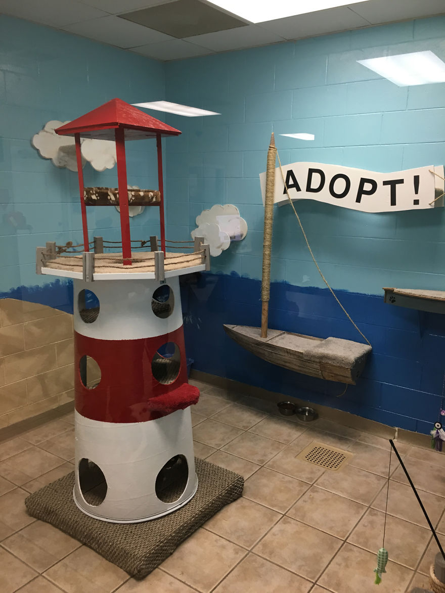 I Created A Harbour-Themed Cat Room For Shelter Cats To Brighten Their Days I Created A Harbour-Themed Cat Room For Shelter Cats To Brighten Their Days