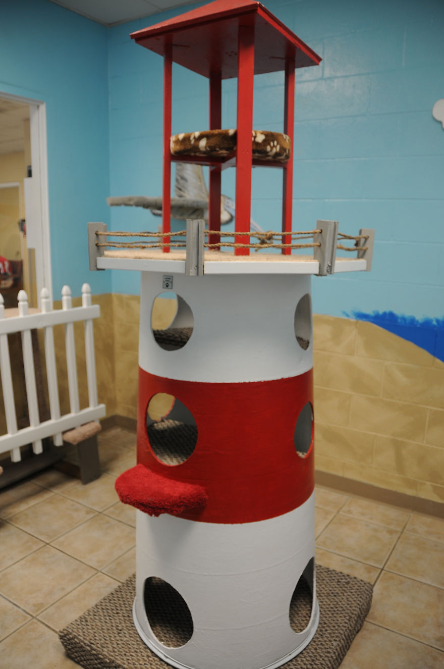 I Created A Harbour-Themed Cat Room For Shelter Cats To Brighten Their Days I Created A Harbour-Themed Cat Room For Shelter Cats To Brighten Their Days