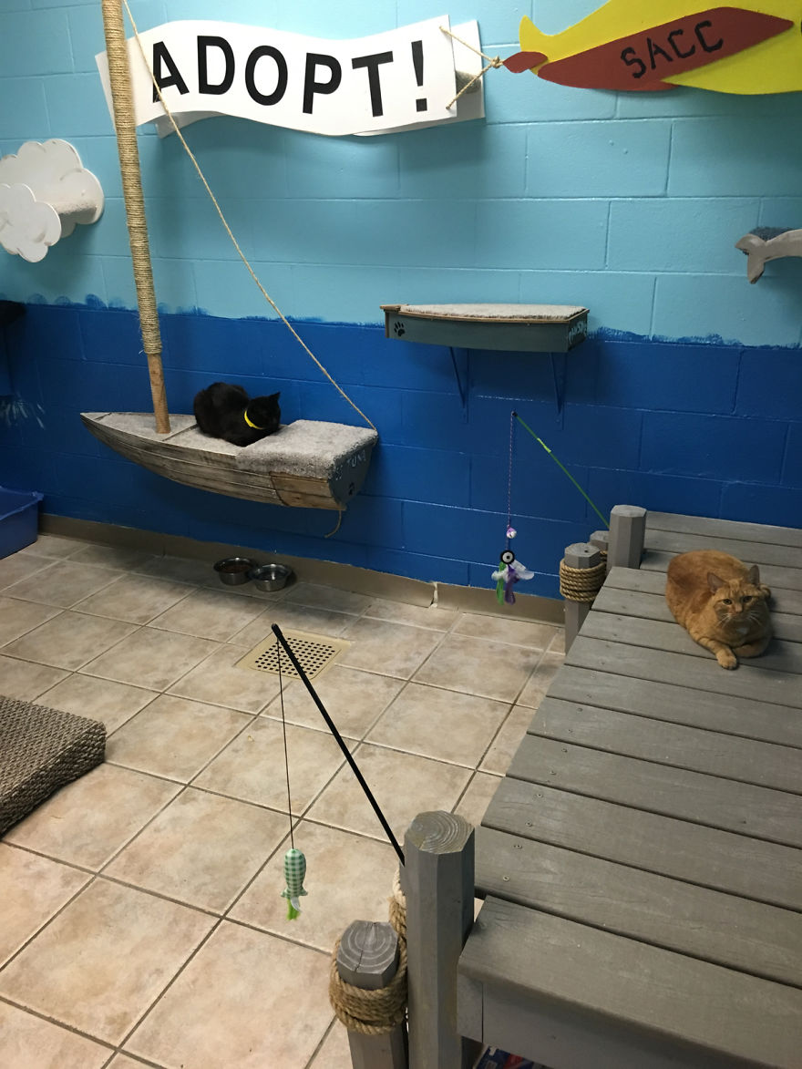 I Created A Harbour-Themed Cat Room For Shelter Cats To Brighten Their Days I Created A Harbour-Themed Cat Room For Shelter Cats To Brighten Their Days