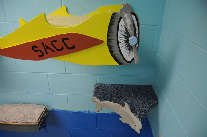 I Created A Harbour-Themed Cat Room For Shelter Cats To Brighten Their Days I Created A Harbour-Themed Cat Room For Shelter Cats To Brighten Their Days