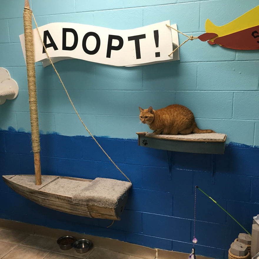I Created A Harbour-Themed Cat Room For Shelter Cats To Brighten Their Days I Created A Harbour-Themed Cat Room For Shelter Cats To Brighten Their Days