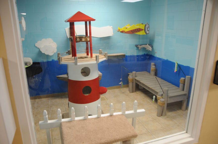 I Created A Harbour-Themed Cat Room For Shelter Cats To Brighten Their Days I Created A Harbour-Themed Cat Room For Shelter Cats To Brighten Their Days