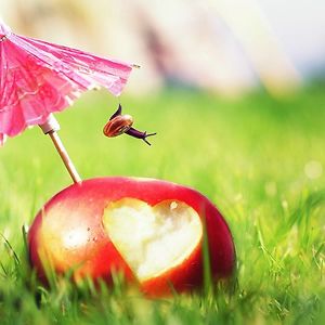 farimah-aghoseyni avatar