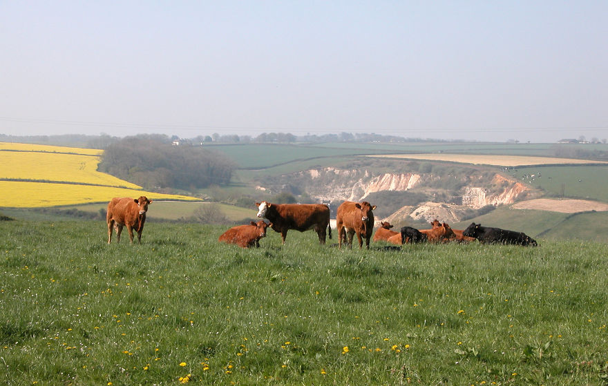 Standing On The Back Step Of My Home Office, Devon, England