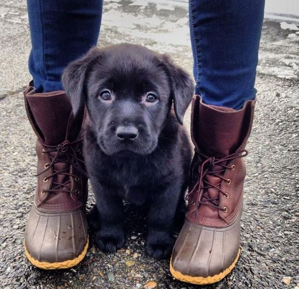 Ok, I'm Ready. Let's Go Hiking