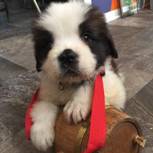 7 Weeks, This Is Still A Bit Too Big