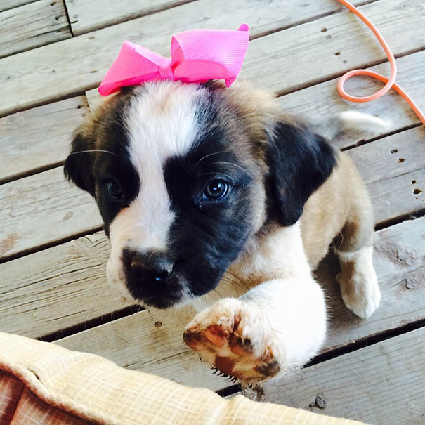 6d Morgen_paigecan't Decide On Princess Nala Or Princess Athena