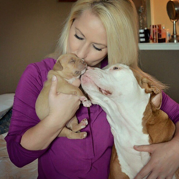 dog-abandoned-by-mother-celebrates-birthday-pit-bull-penny-roofus-and-kilo-2 dog-abandoned-by-mother-celebrates-birthday-pit-bull-penny-roofus-and-kilo-2