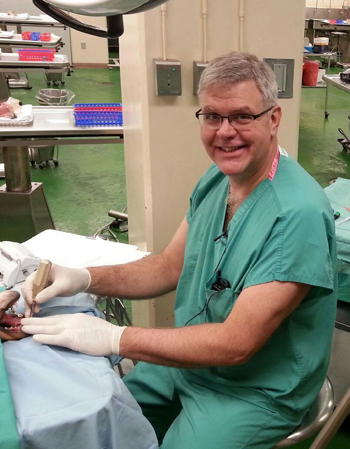 dog-braces-golden-retriever-teeth-problems-wesley-molly-moore-3