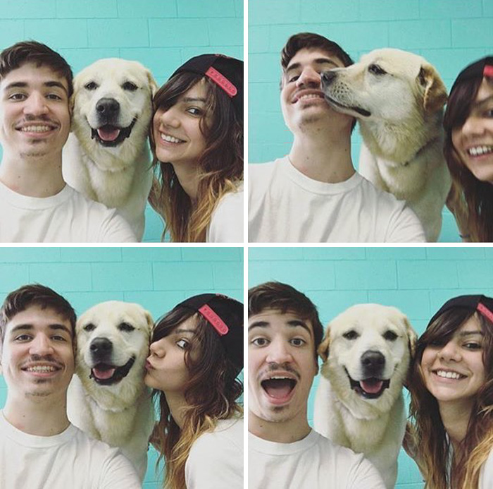 dog-cafe-adoption-sarah-wolfgang-los-angeles-12