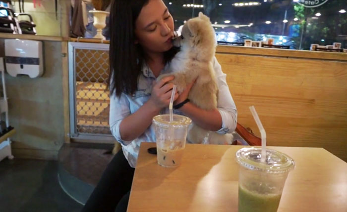 dog-cafe-adoption-sarah-wolfgang-los-angeles-21 dog-cafe-adoption-sarah-wolfgang-los-angeles-21