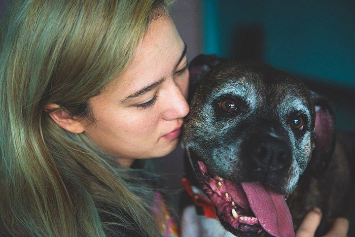 dog-cafe-adoption-sarah-wolfgang-los-angeles-9