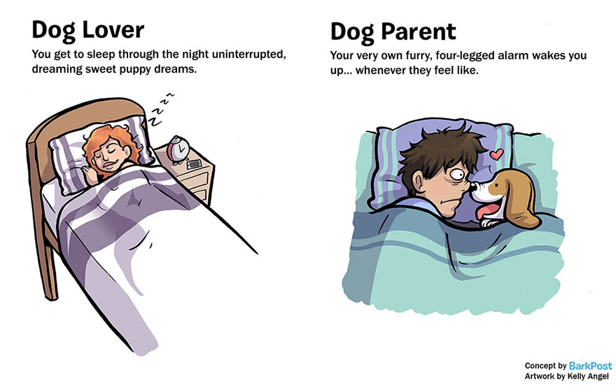 Dog Lover Vs Dog Parent