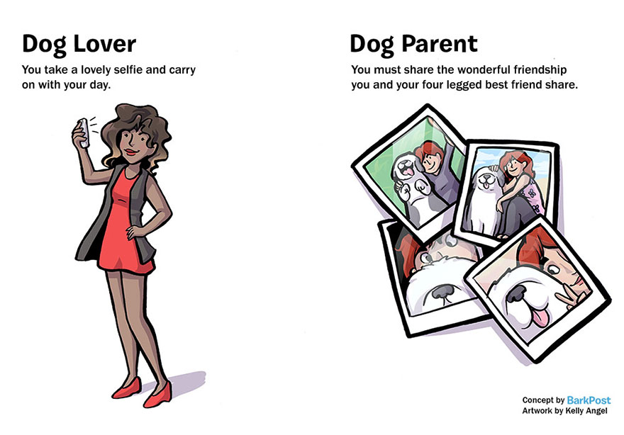 Dog Lover Vs Dog Parent