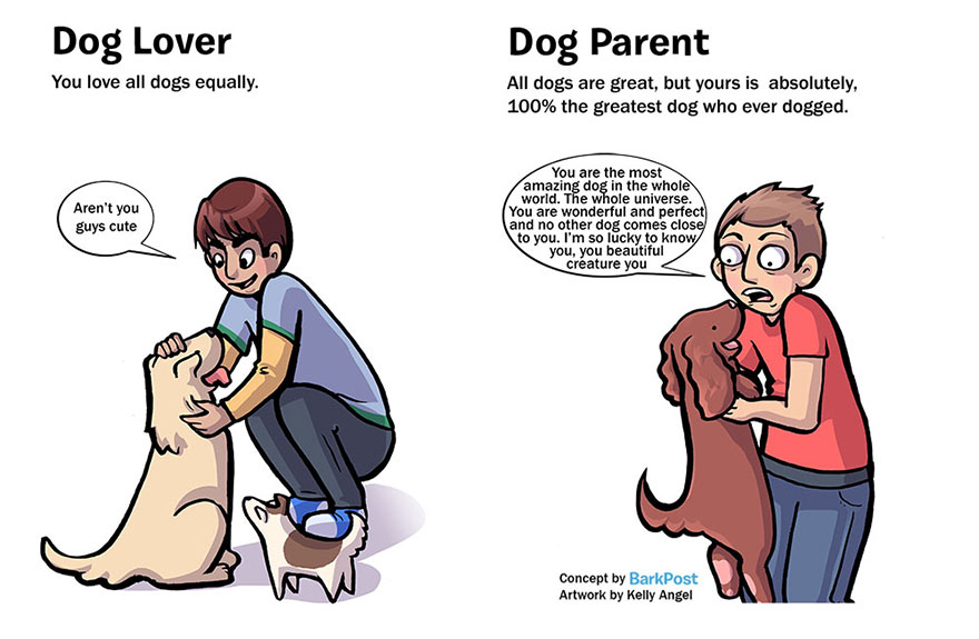 Dog Lover Vs Dog Parent