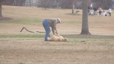 dog-plays-dead-piedmont-park-5 dog-plays-dead-piedmont-park-5