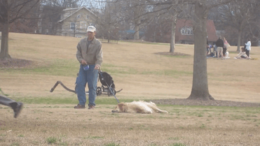 dog-plays-dead-piedmont-park-8 dog-plays-dead-piedmont-park-8