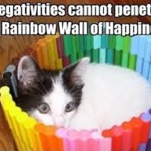 ashleygardner avatar