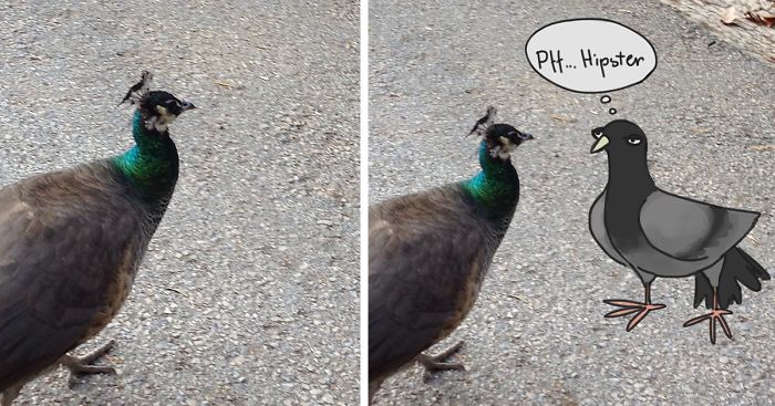 Challenge: Draw Something On This Picture