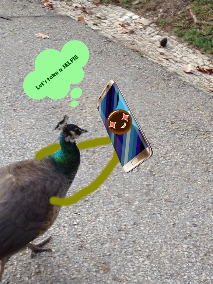 Let's Take A Selfieee