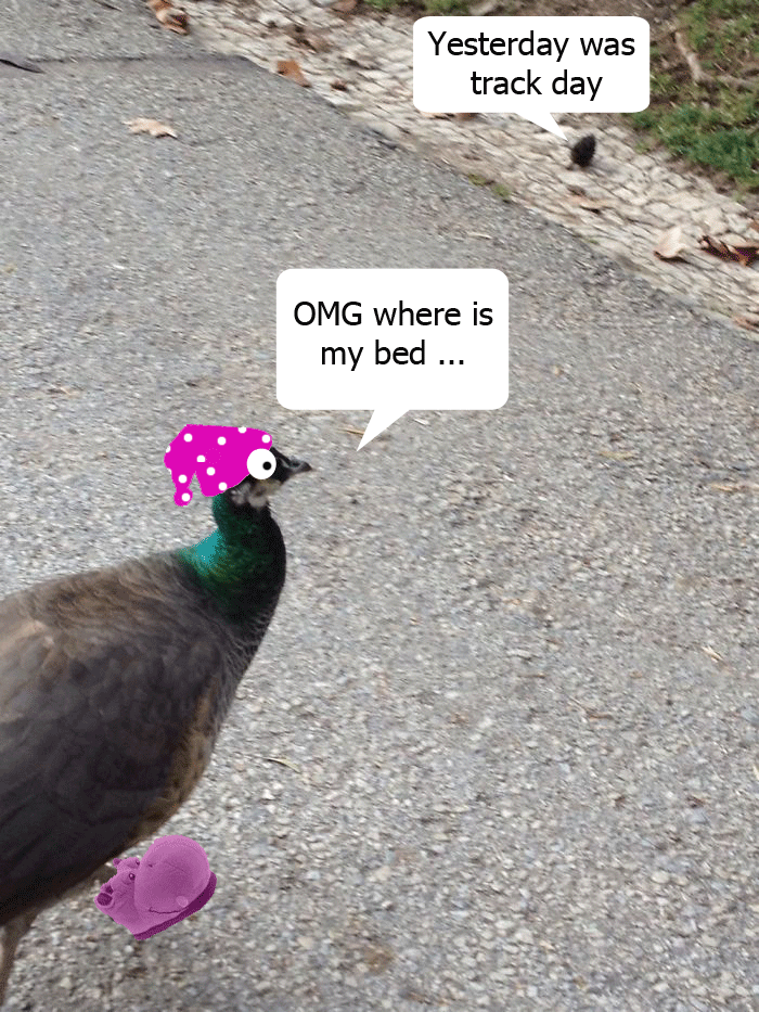 An Impressive Tragedy :d