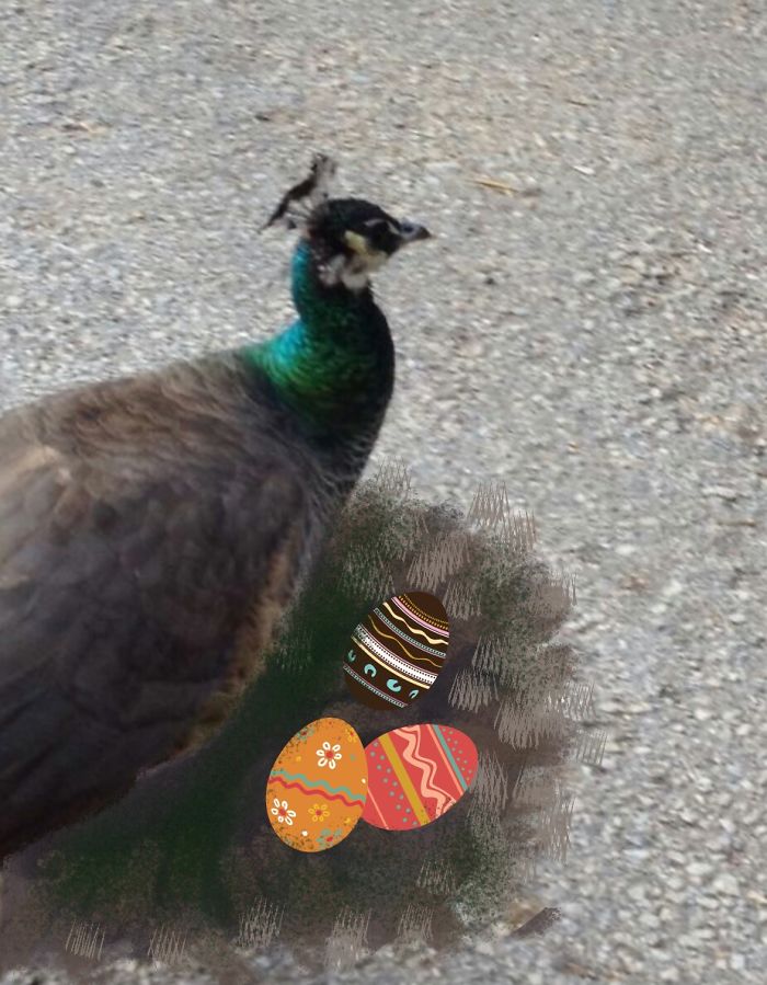 Man Stays At Home To Watch The Children