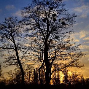 aldcar9633_student20 avatar