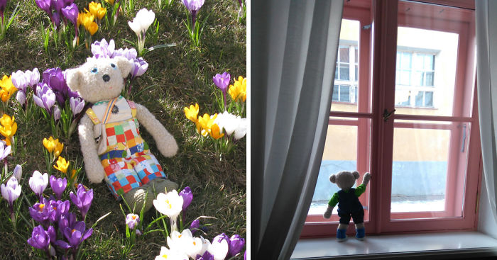 20 Things To Do Every Day To Make You As Happy As A Teddy