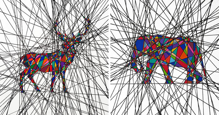 Beauty Within Chaos: I Draw Animals Where Lines Intersect