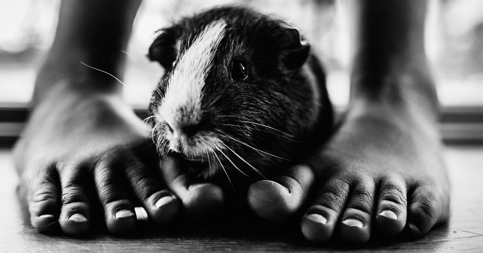 I Document The Special Bond Between My Son And His Pets