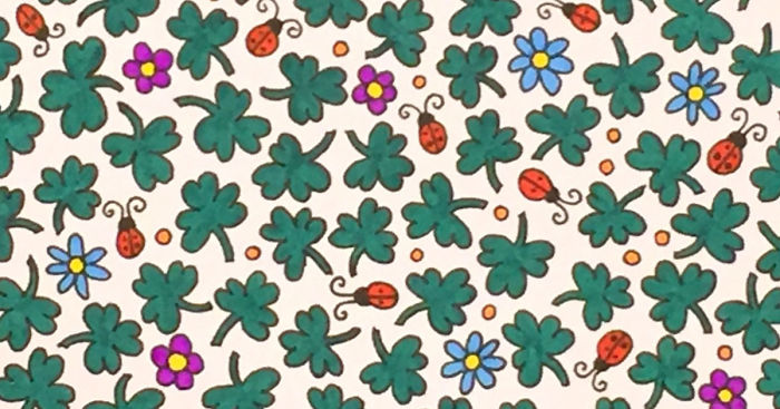 Can You Find The Four Leaf Clover?