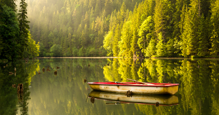 I Captured The Unique Beauty Of Transylvania